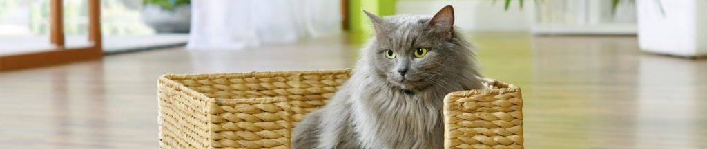Trouvez votre animalerie Montpellier Maxi Zoo