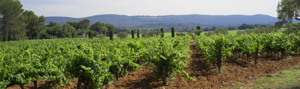 Le Château de l’Escarelle : un magnifique domaine viticole dans le Var