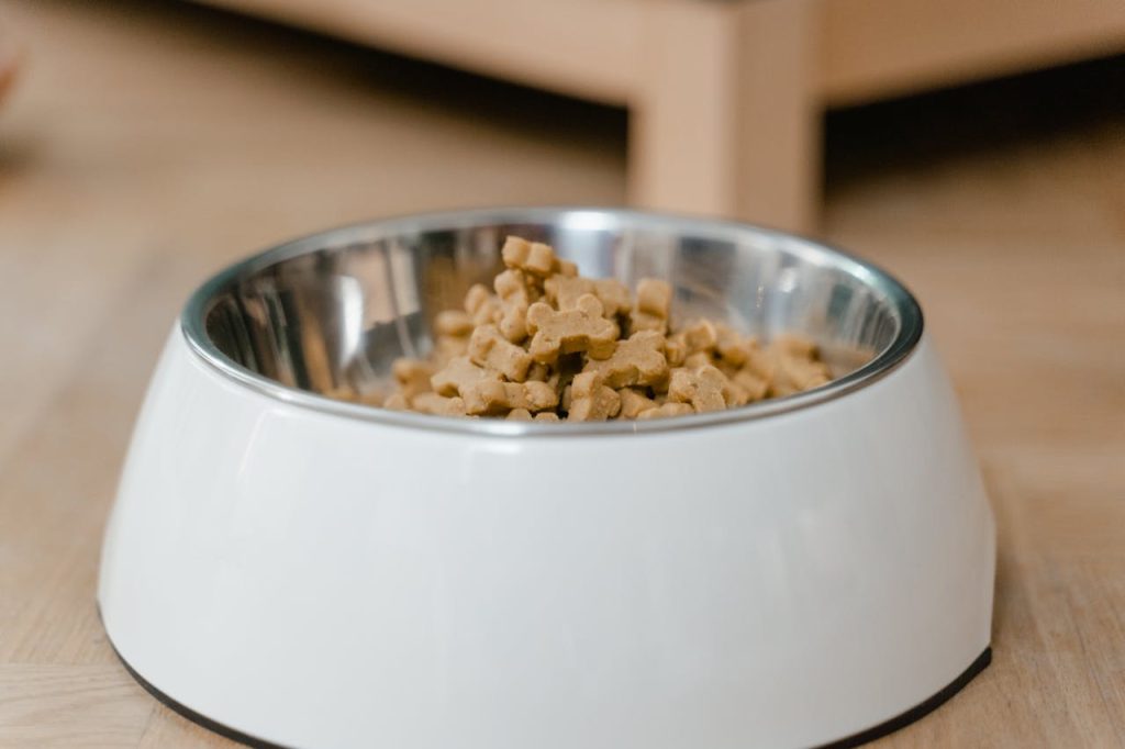 Le choix de croquettes pour chien Maxi Zoo